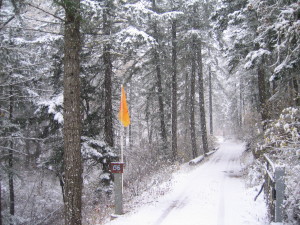 Winter Entrance to the Hermitage
