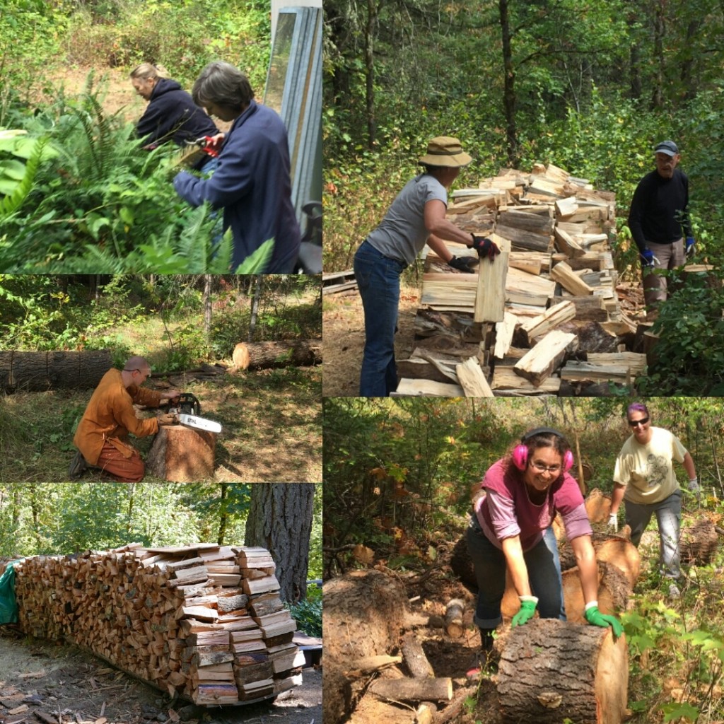 Gathering firewood and prepping the gardens for winter.